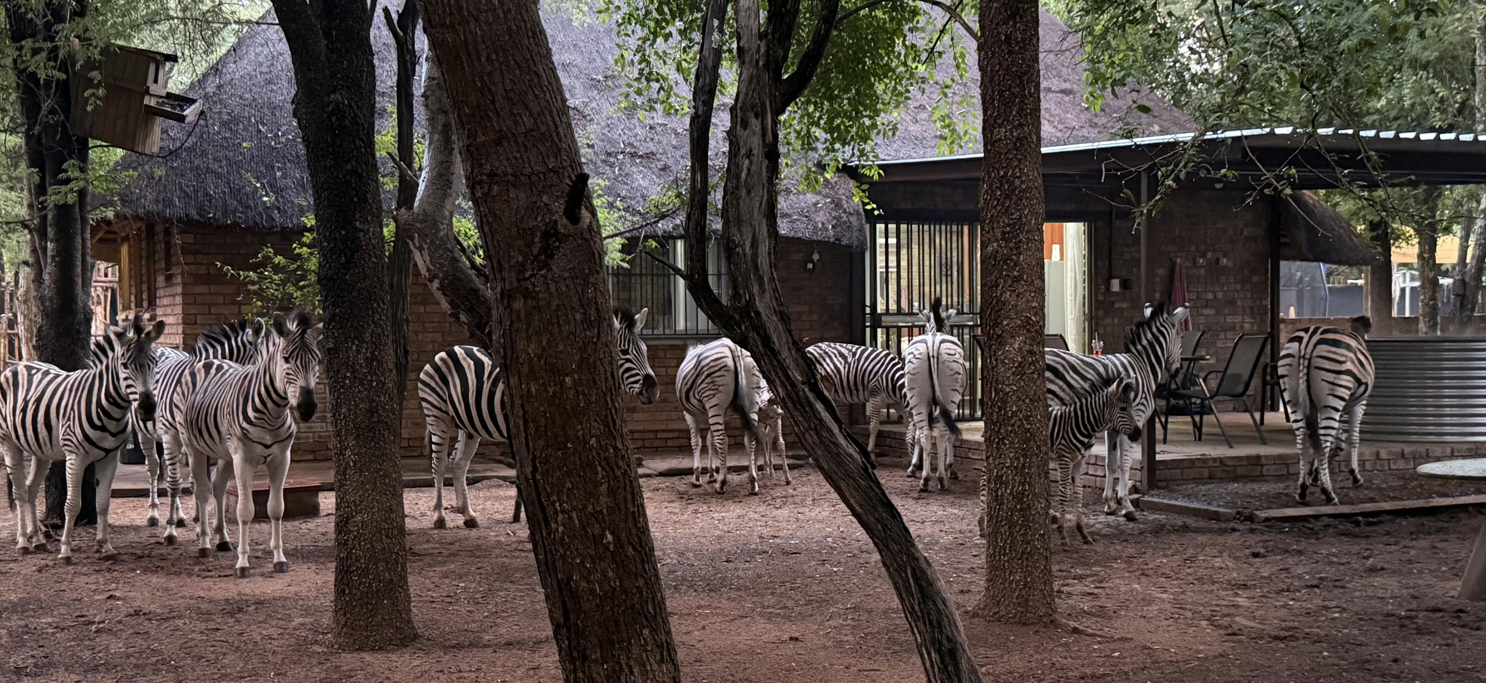 Disa 304 Leeupoort Thabazimbi cover photo